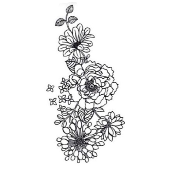 Meet your Posher, Dylan - Picture 1 of 1